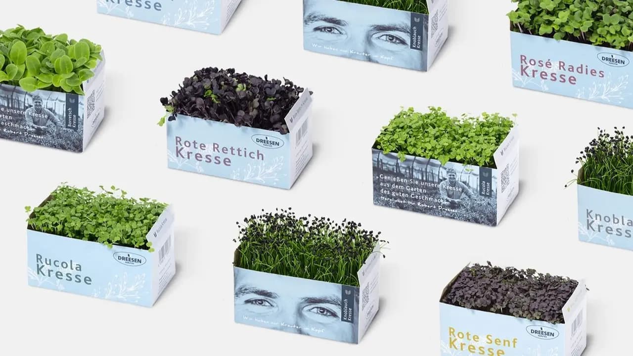 Artificialmerch: Lifelike Artificial Flowers Are Worth Every Penny