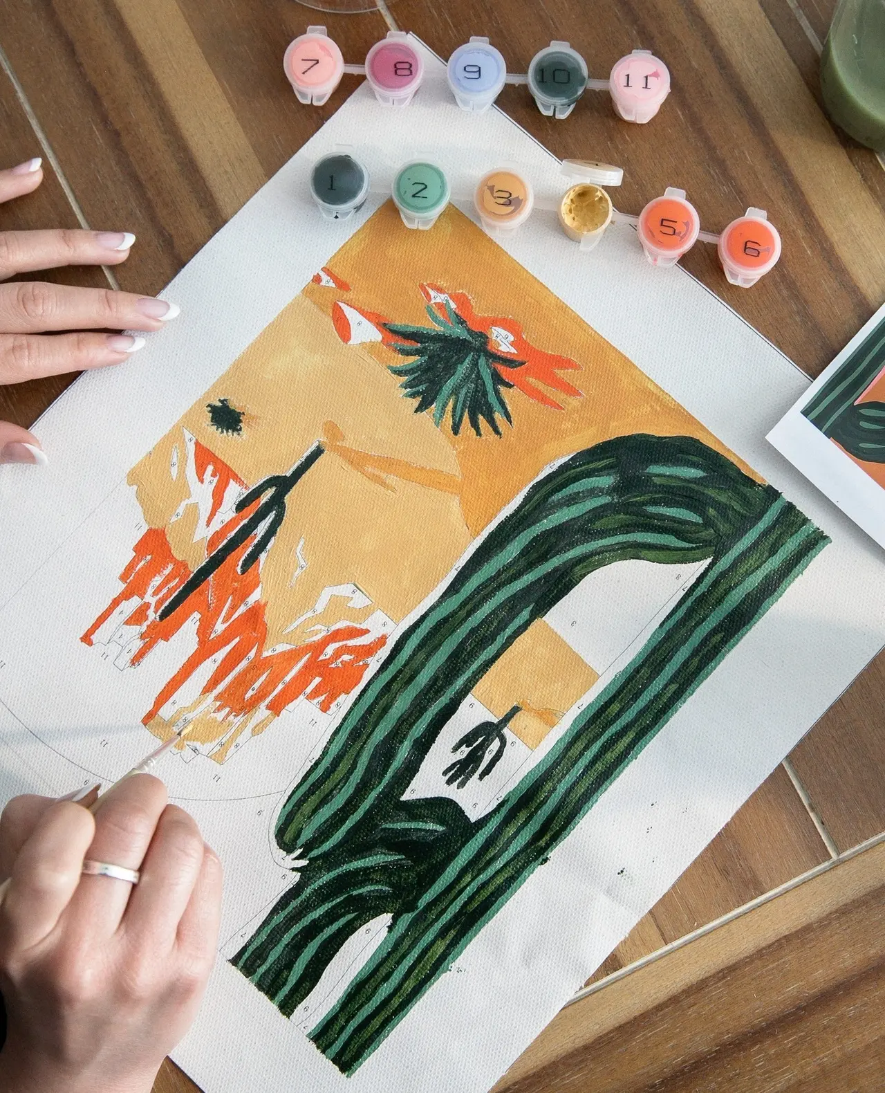 Pink Picasso Kits Review