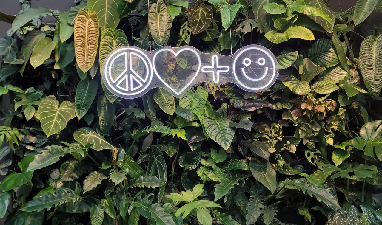 Seattle Plant Store | Peace Love and Happiness Club