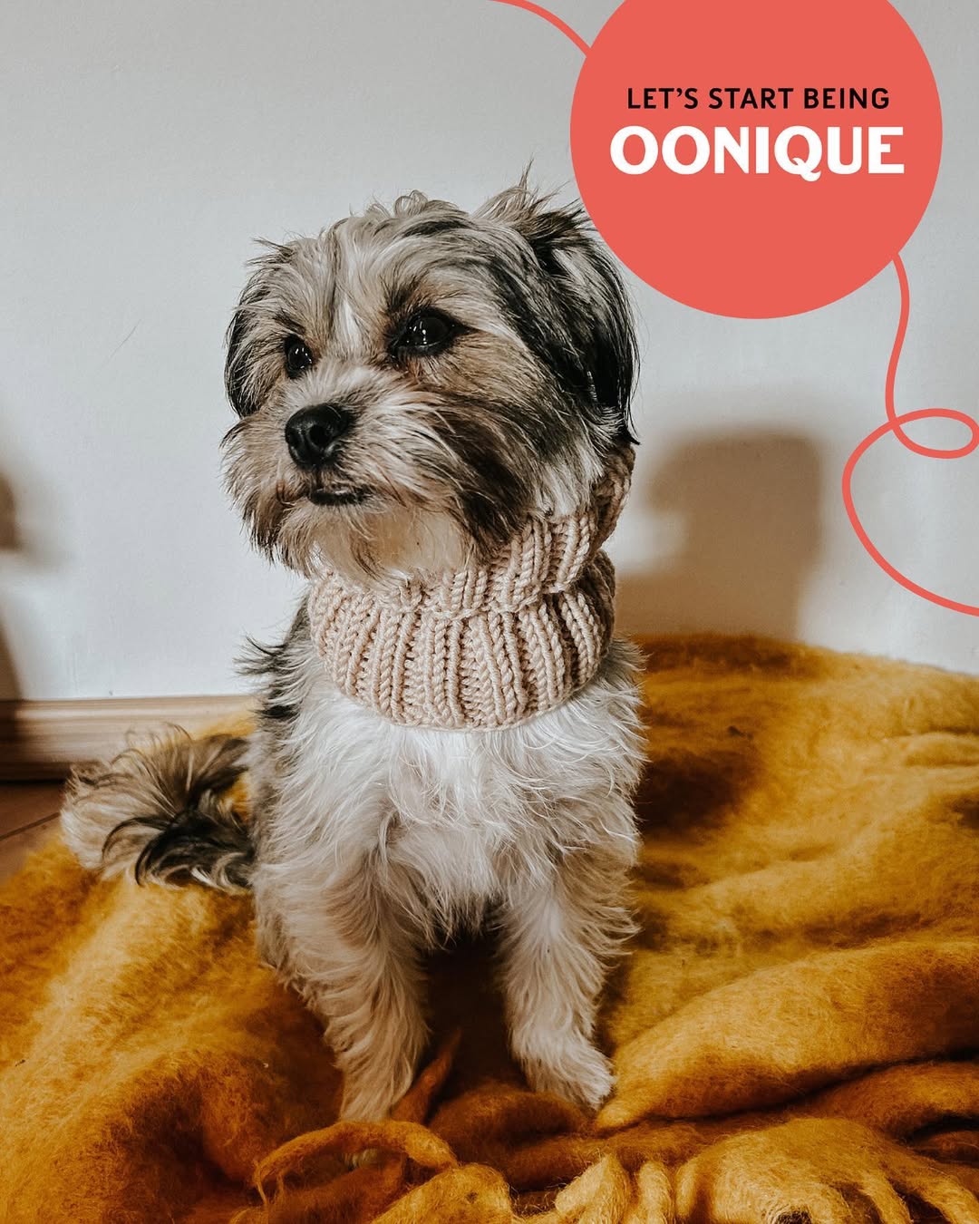 Nachhaltigkeit und Tierschutz bei Wolle: Ein Beitrag zu mulesingfreien Garne als Alternative zu Mulesing praktiken